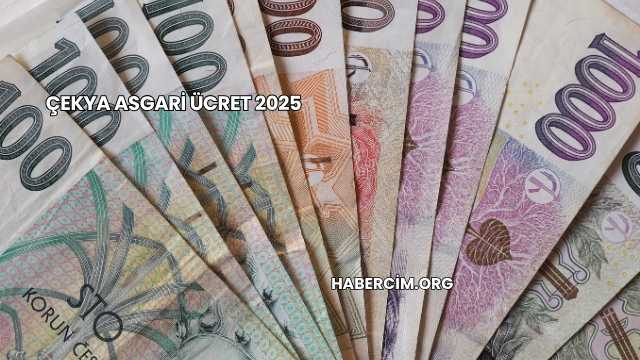 Çekya Asgari Ücret 2025