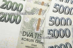 Çekya Asgari Ücret 2025