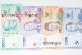 Endonezya Para Birimi