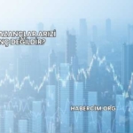 Hangi Kazançlar Arızi Kazanç Değildir?