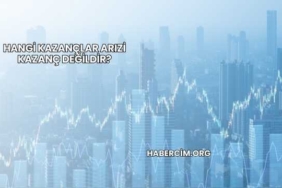 Hangi Kazançlar Arızi Kazanç Değildir?