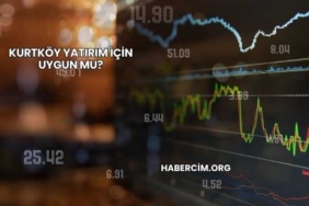 Kurtköy Yatırım İçin Uygun mu?