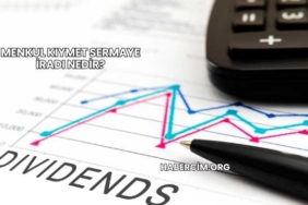 Menkul Kıymet Sermaye İradı Nedir?