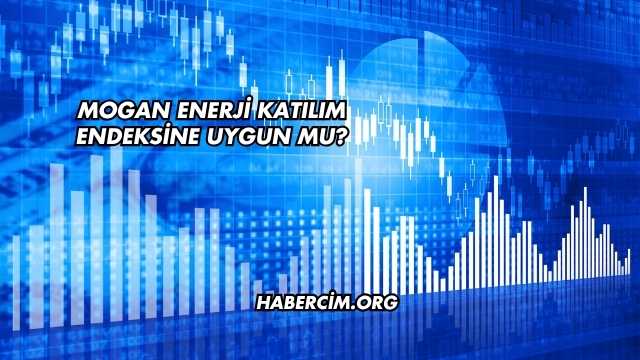 Mogan Enerji Katılım Endeksine Uygun mu?