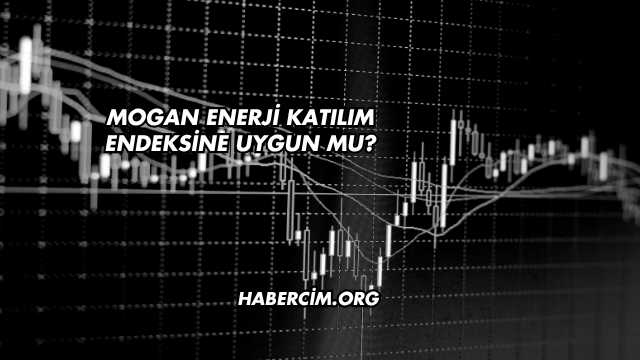 Mogan Enerji Katılım Endeksine Uygun mu?