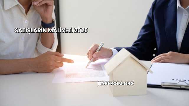 Satışların Maliyeti 2025